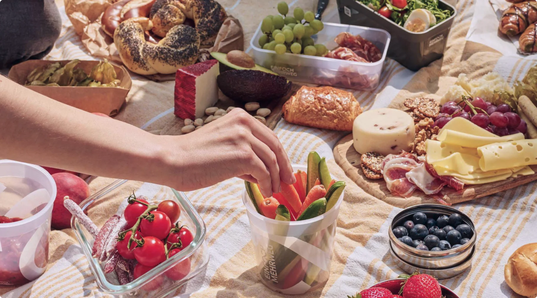 Mehrweg-Dosen bei einem Picknick mit frischem Obst und Gemüse